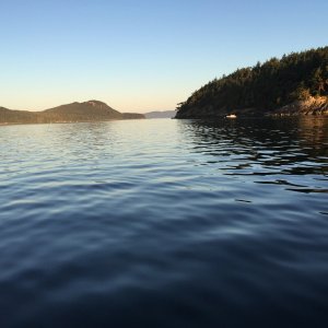 IMG 0806