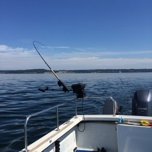 IMG 0913
