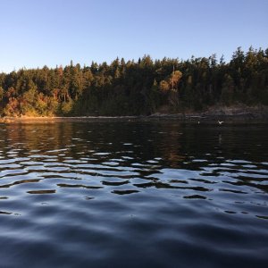 IMG 0803