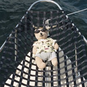 Big Bear's Hammock