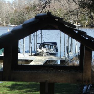 Media '(Byrdman) GYPSY in her \"Byrd Nest\" :  Mt. Juliet, TN' in album '(Byrdman) GYPSY in her \"Byrd Nest\" :  Mt. Juliet, TN'