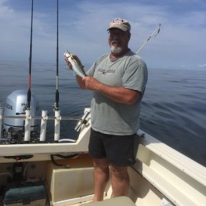 Media '' in album 'Offshore Fishing NC June 2017'