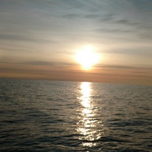 Media '' in album 'Offshore Fishing NC June 2017'