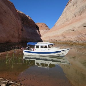 Media '9-26-14 Smith Fork' in album '9-19-14'