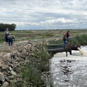 Duck Club Fishing