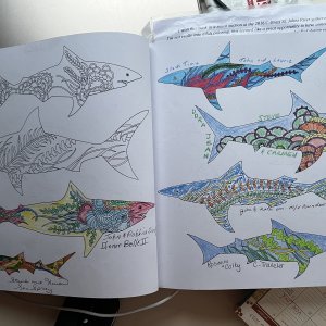 Media 'Delta Cruise Coloring Book Page' in album 'Launching at Delta Marina in Rio Vista'