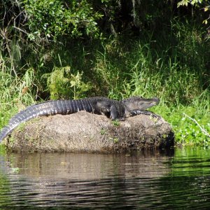 Was my spot to anchor on St. Johns River