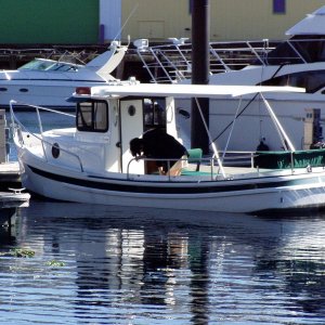 Media 'Tug in harbor' in album 'My boat on seatrial in Washington'