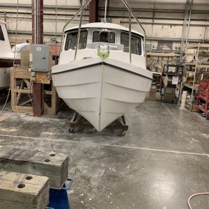 white 22 8