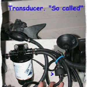 Outboard fuel-water separater.jpg