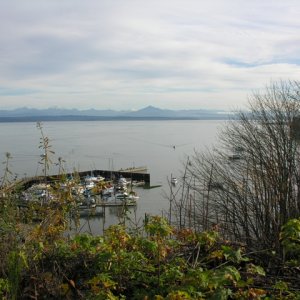 Another Rainy day in the PNW