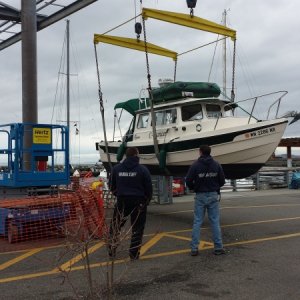 Media 'Sling launch at Edmonds Marina - March 2014' in album 'Finally got the cover off.  Located the plug'