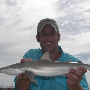 Baby "Jaws"