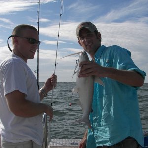 Snotty little Gaff Topsail Catfish.