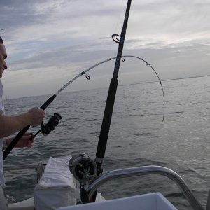 Do you all know what it's like to spend a few days fishing with someone who's always  got a 'bent' rod?