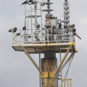 Ultimate beneficiaries of our oil thirst.