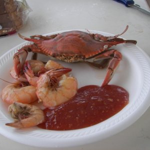No shortage of crabs, nor shrimps in Galveston area!