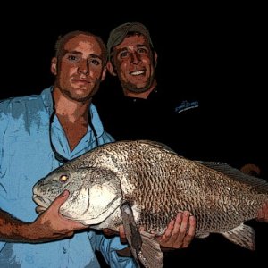 Media 'Nice Black Drum in the middle of the night.' in album 'Duhhhhhh...  I think this is about fish or sompin.......'