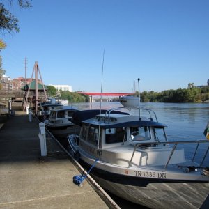 C-Dory's lined up in a row Gypsy in front