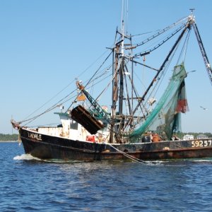 Shrimper Going to Sea