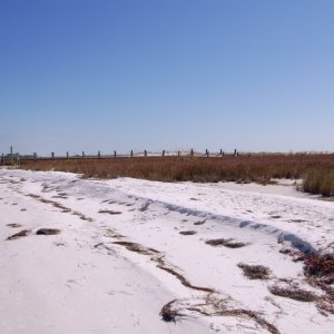 Shell Island (Panama City)
