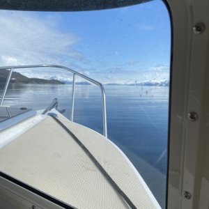 IMG 2665