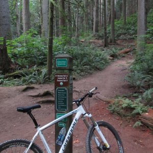 On my mountain bike ride Friday on Chuckanut
