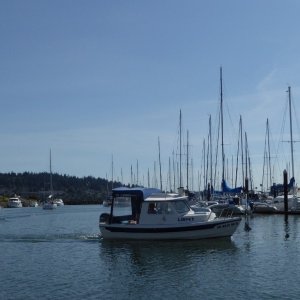 Limpet returning from day trip Saturday