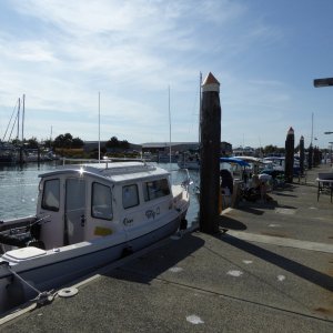 Saturday on the dock