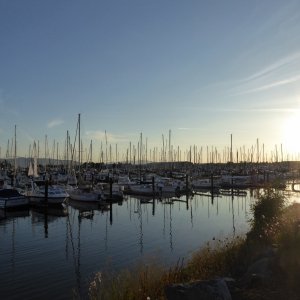 Saturday evening