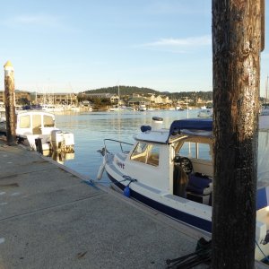 Saturday on the dock