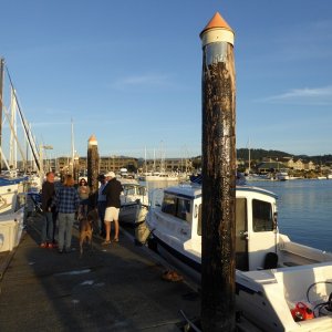 Saturday on the dock