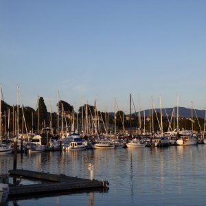 Boats at sunset Saturday