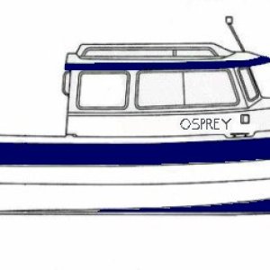 osprey line drawing