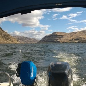 Down the Snake