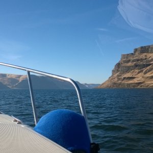 The Columbia