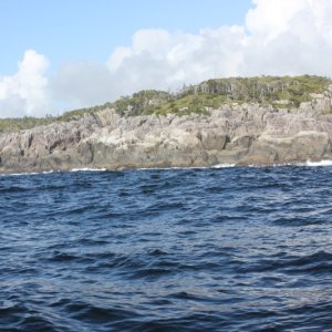 The rugged West side of Calvert Island