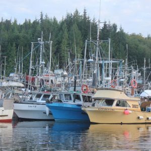 The fishing fleet waiting for the chum salmon opening at Shearwater