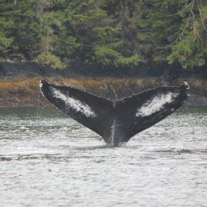 Canada 2013 1292