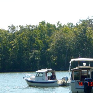 Media 'Our first cruise on C-Fle, the C-Dory gathering in October 08, Appalachicola Florida. About 7 boats cruised the river and had a great BBQ dinner!' in album 'Inside, The added upper storage shelf w/tide clock is great for charts and misc. items. a lockable storage compartment under the helm seat, great for storing electronics etc.A Garmin 440 s Chartplotter and West Marine Windshield washer, much needed!'