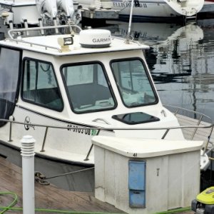C-Dory