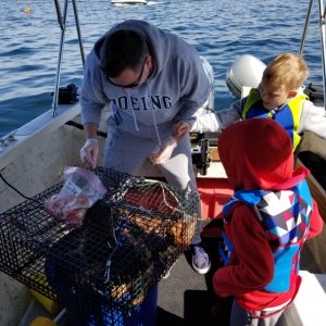 Shrimping 2019 elliot bay