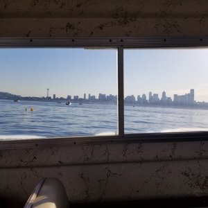 Shrimping 2019 elliot bay