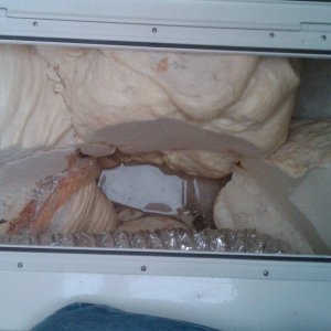 Media 'extreme bow access hatch with the "Cape Cruiser" infamous water.  Looks like whale intestines.  The water looks like a mirror in this pic.' in album 'port access hatch w.sub woofer cabinet and air conditioning duct'