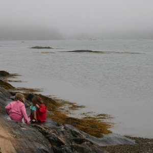 View from Horseshoe Cove, ME in August 2004.  Grace and Claire inspect the tidal pools.