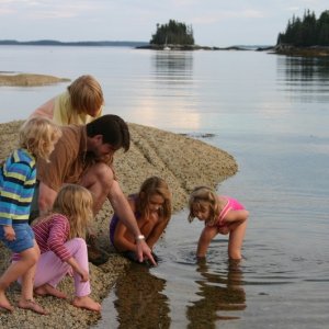All kinds of critters live in those tidal pools.
