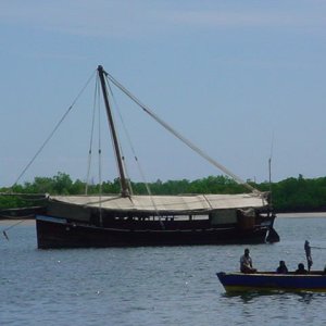 Media 'This is a "luxury dhow" used for private tours.  For $1900/day, you can join the likes of Robin Williams and Norwegian royalty in chartering the Tusitiri' in album 'Otter under way, Great Wicomico River, Virginia.JPG'