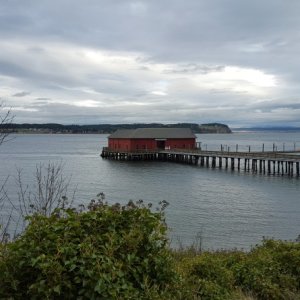 Not so windy in Penn Cove
