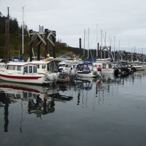 Friday Harbor 003 - Friday Afternoon