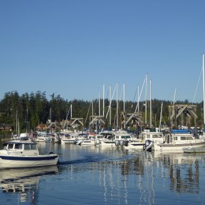 Friday Harbor 008 - Saturday Morning